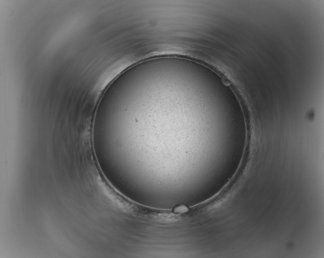 X0000111461137200907201107