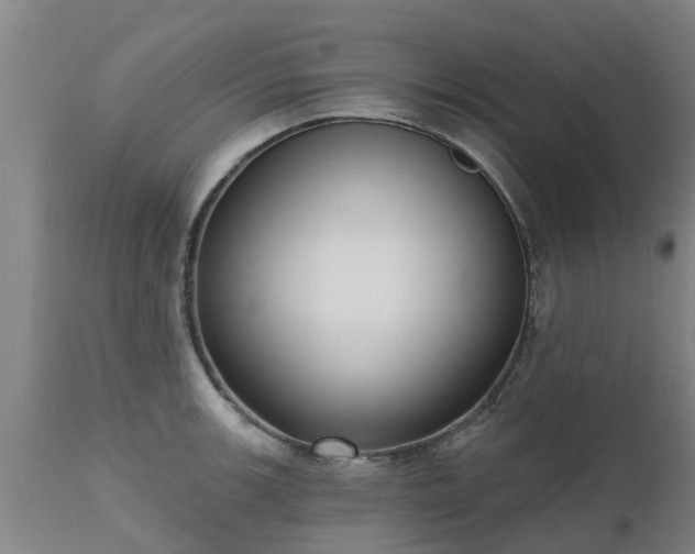 X0000111461139200907201107