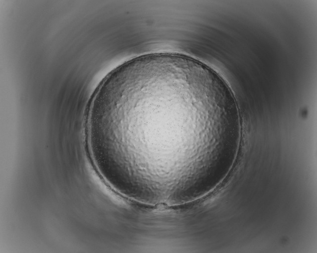 X0000111461142200907201107