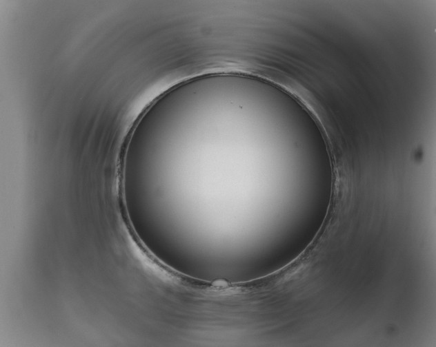 X0000111461143200907201107