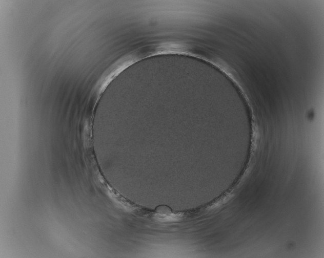 X0000111461145200907201107