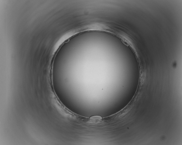 X0000111461146200907201107