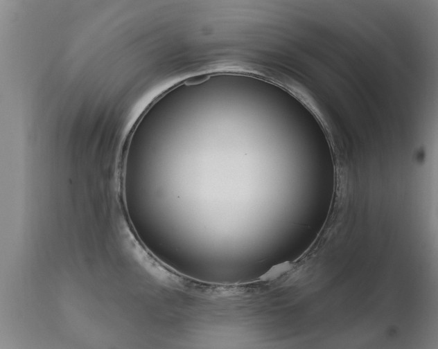 X0000111461148200907201107