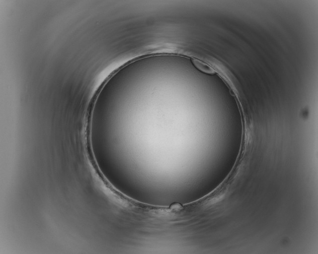 X0000111461149200907201107