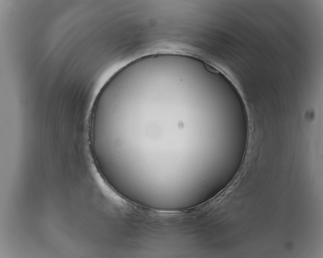 X0000111461152200907201107