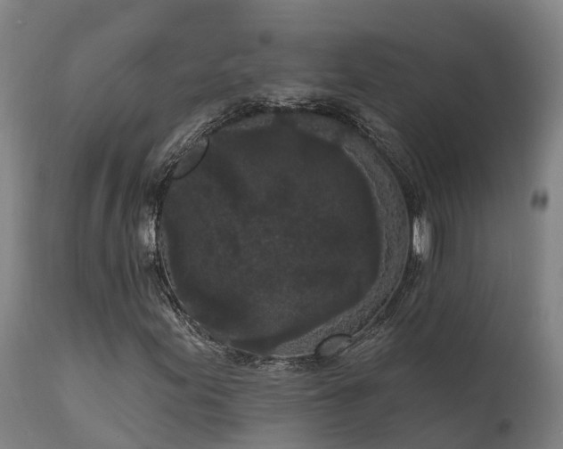 X0000111461155200907201107