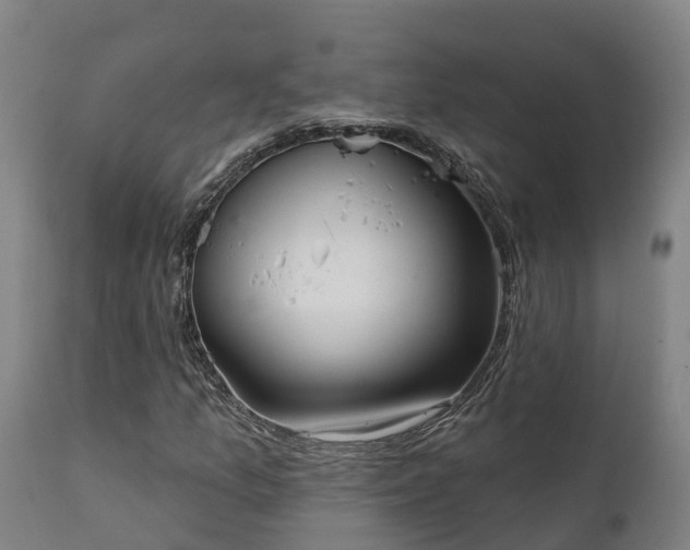 X0000111461157200907201107