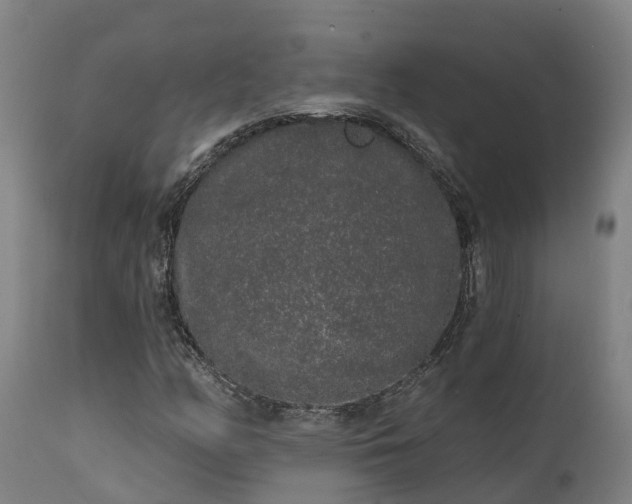 X0000111461158200907201107