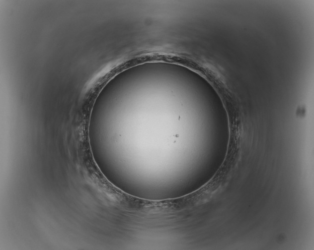 X0000111461159200907201107