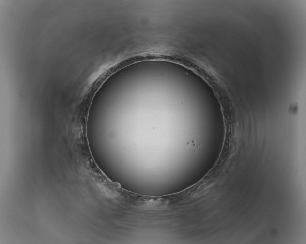 X0000111461160200907201107