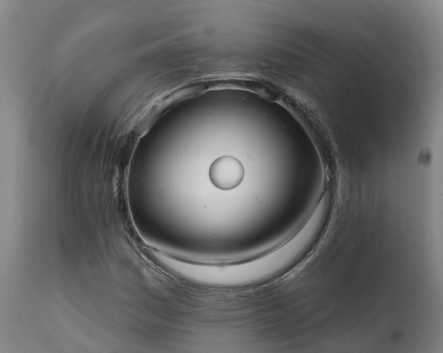 X0000111461161200907201107