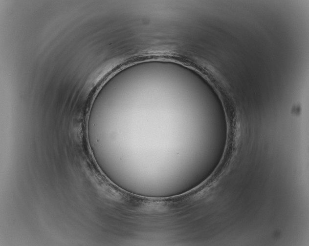 X0000111461162200907201107