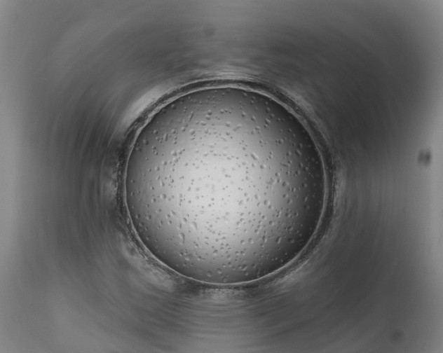 X0000111461163200907201107