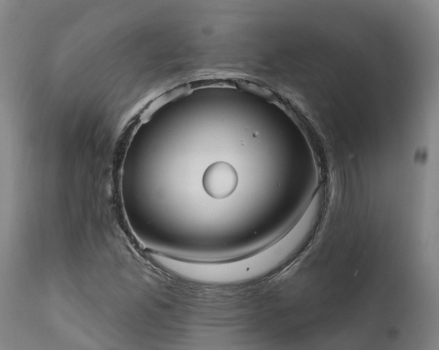 X0000111461165200907201107