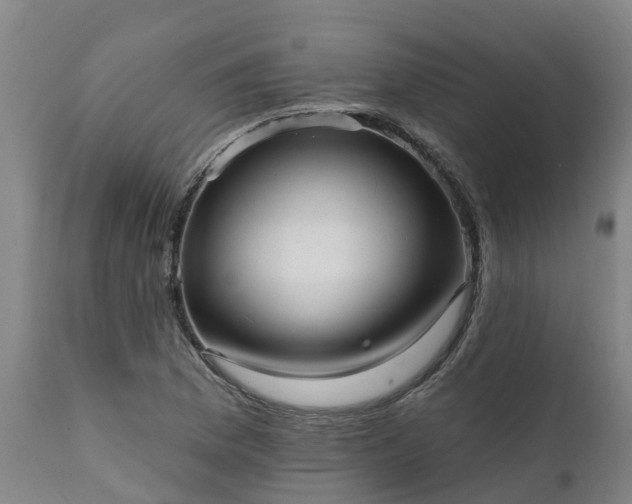 X0000111461169200907201107