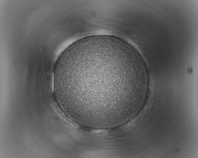 X0000111461171200907201106