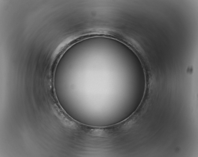 X0000111461172200907201106