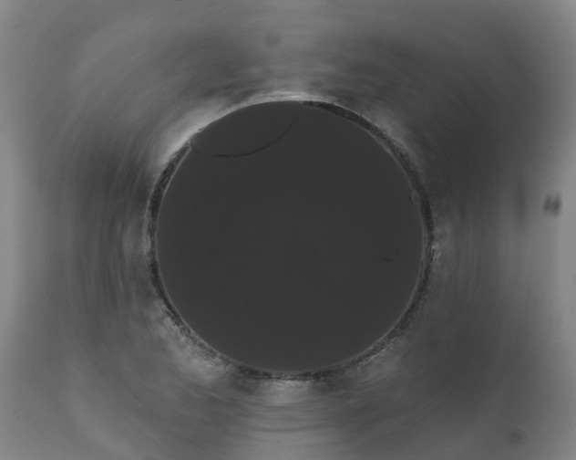 X0000111461173200907201106