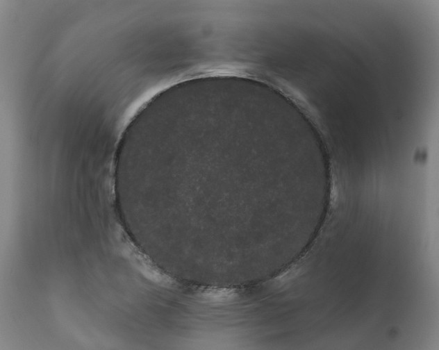 X0000111461174200907201106