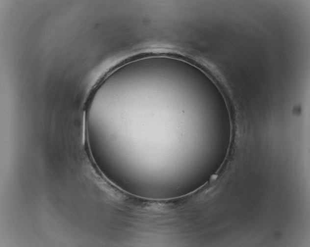 X0000111461175200907201106