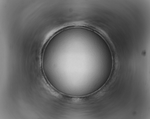 X0000111461176200907201106