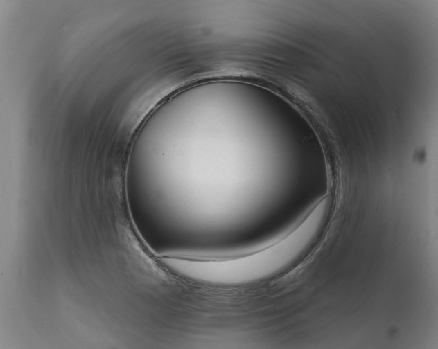 X0000111461177200907201106