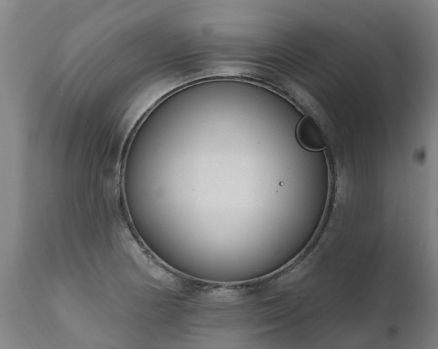 X0000111461178200907201106