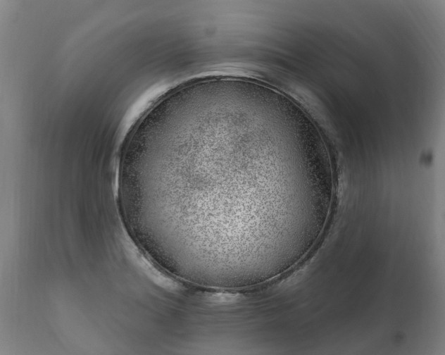 X0000111461180200907201106