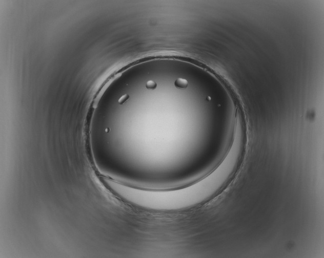 X0000111461181200907201106