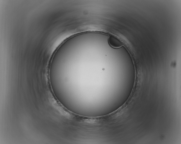 X0000111461182200907201106