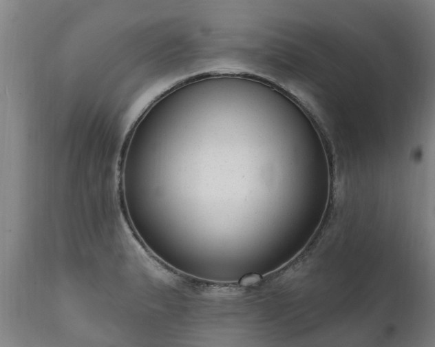 X0000111461183200907201106