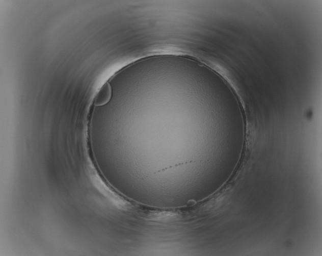 X0000111461187200907201106