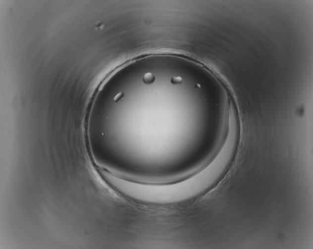 X0000111461189200907201106