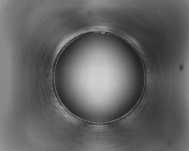 X0000111461192200907201106