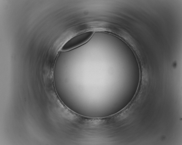 X0000111461193200907201106