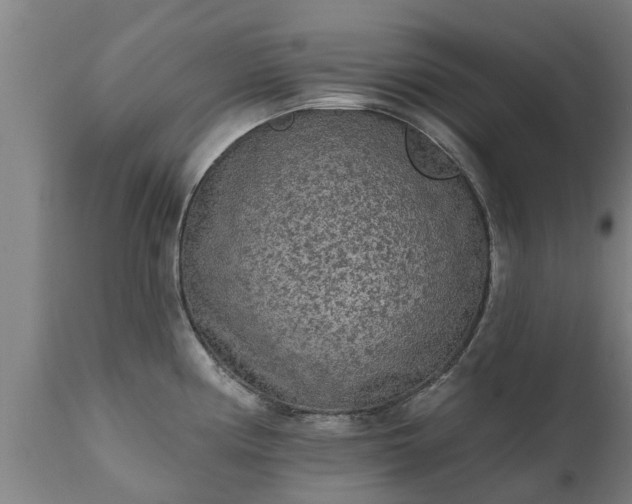 X0000111461194200907201106