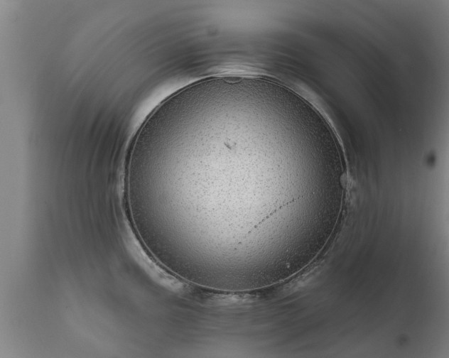 X0000111461195200907201106