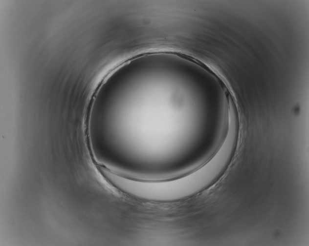 X0000111461197200907201106