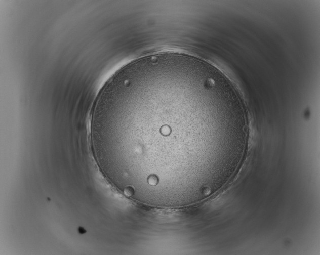 X0000111461198200907201106