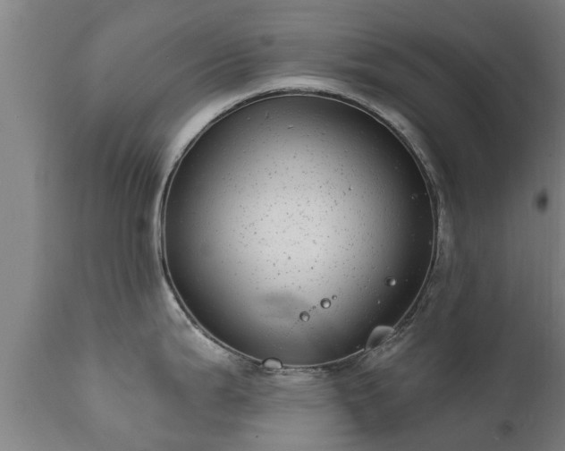 X0000111461199200907201106