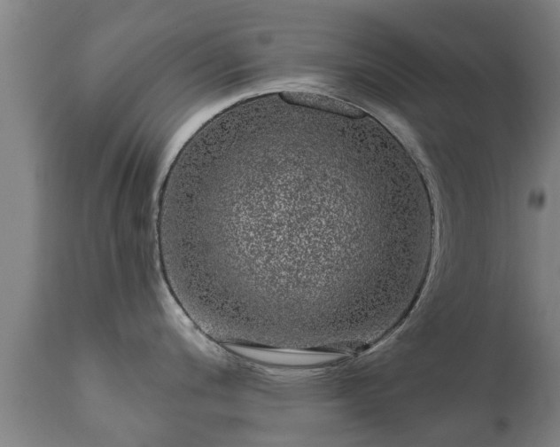 X0000111461200200907201106