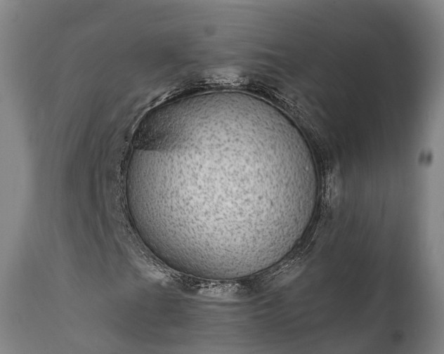 X0000111461201200907201105