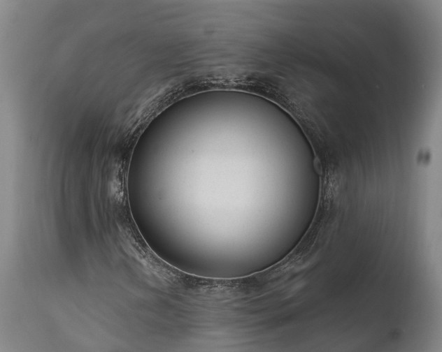 X0000111461202200907201105