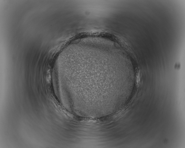 X0000111461204200907201105