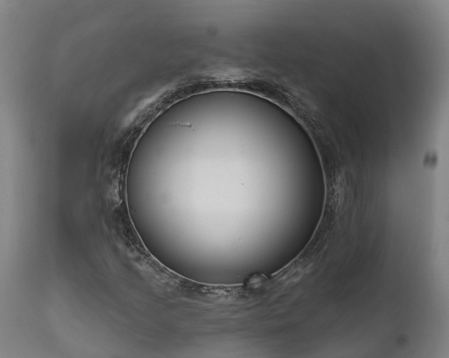 X0000111461205200907201105