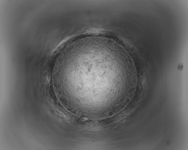 X0000111461206200907201105