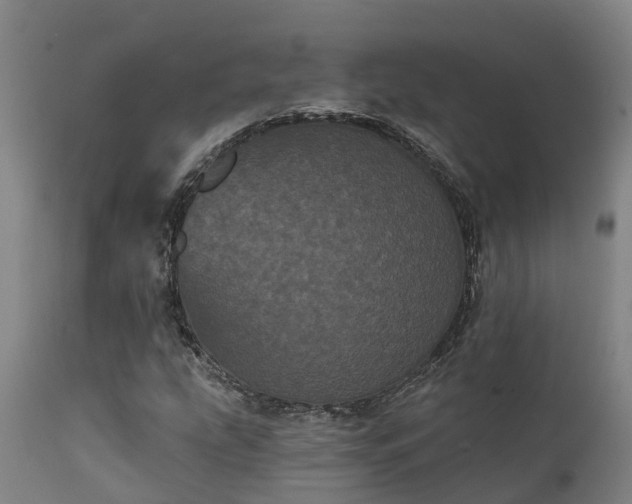 X0000111461207200907201106