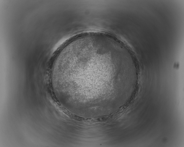 X0000111461208200907201106