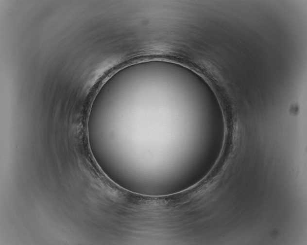 X0000111461210200907201106