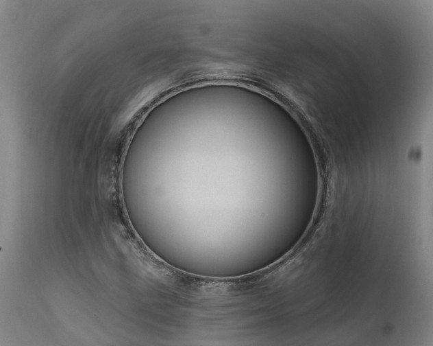 X0000111461211200907201106